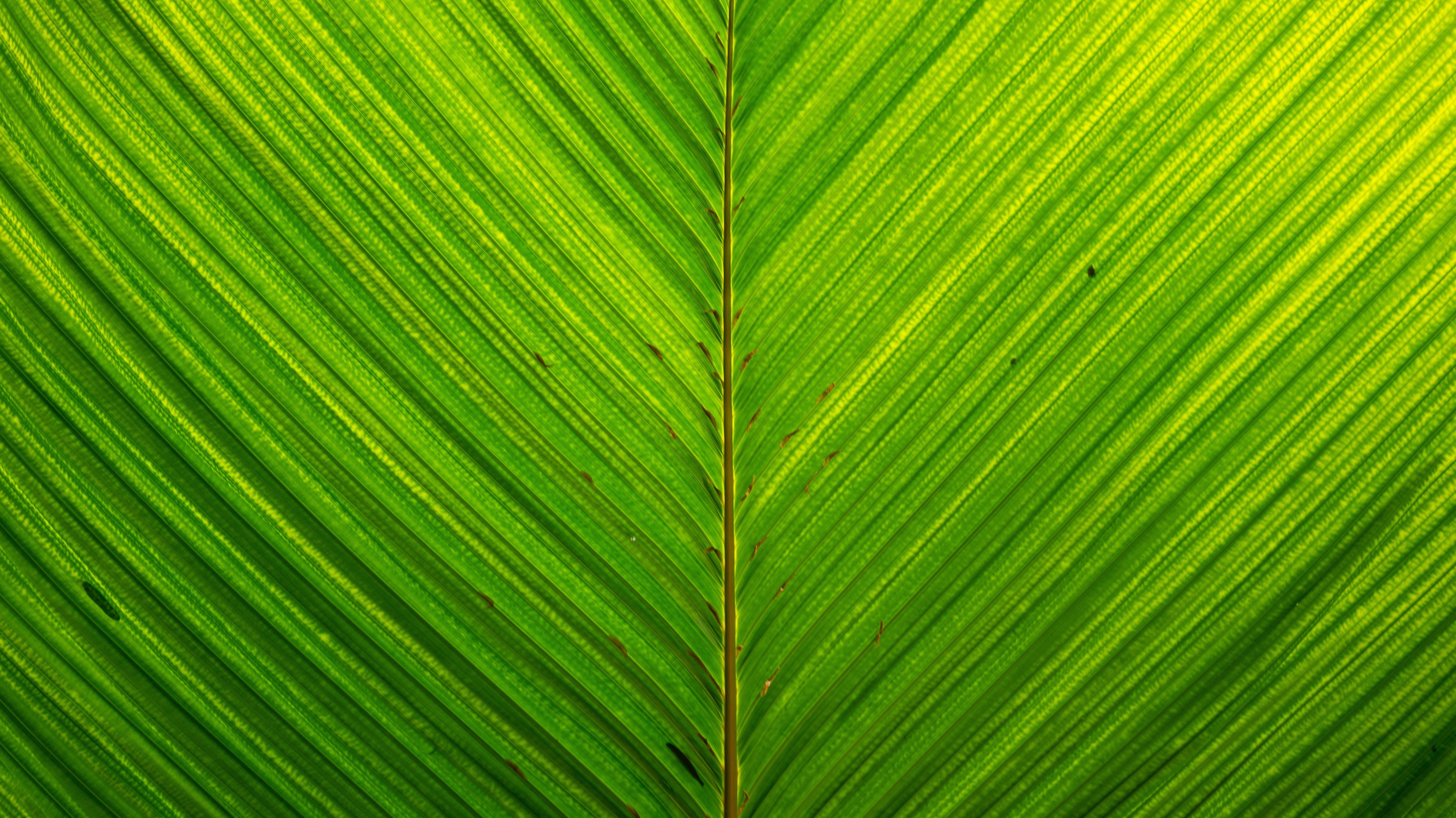sustainable fashion, ethical clothing, eco conscious brands, green fashion sustainable fashion, ethical clothing, eco conscious brands, green fashion