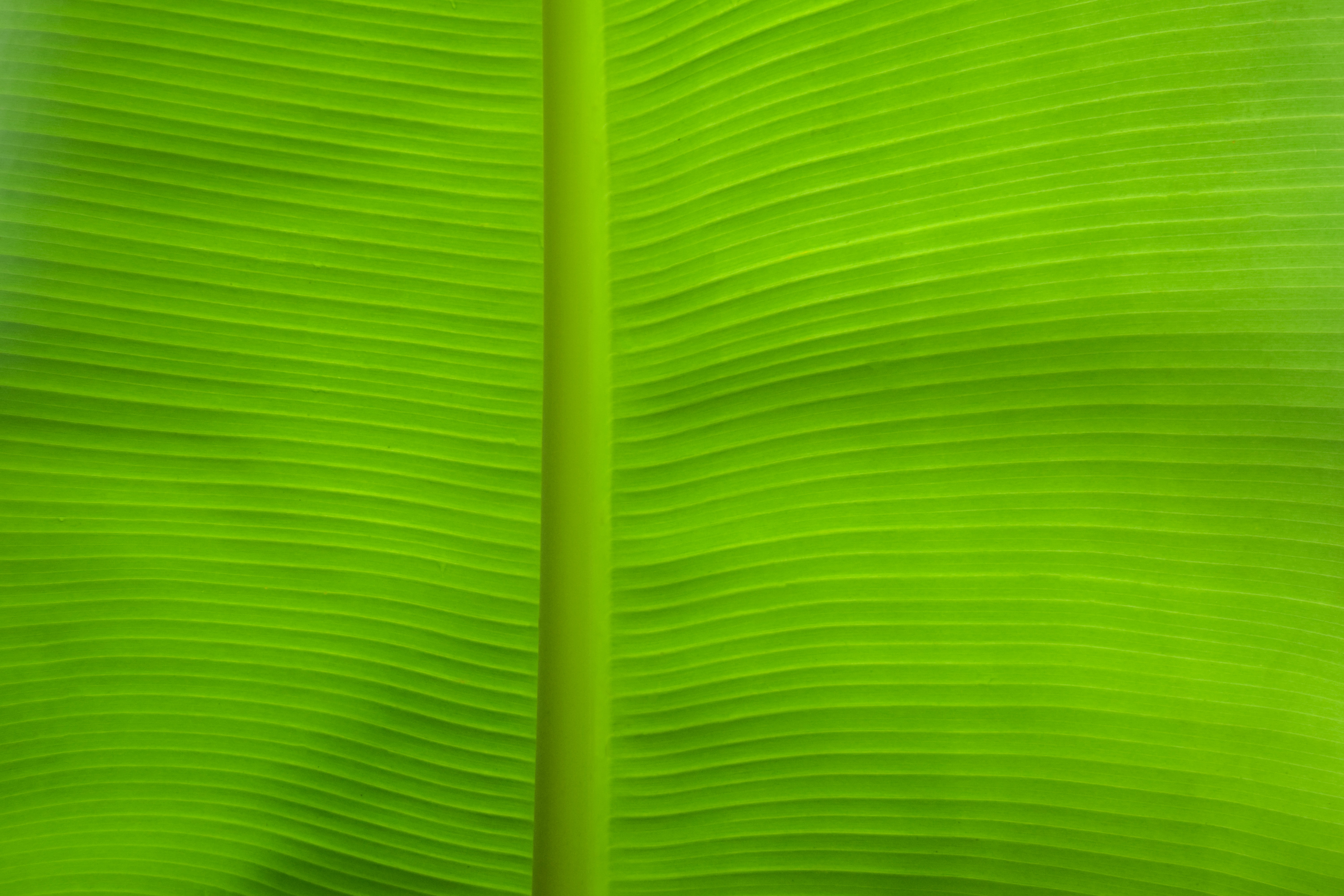 sustainable fashion, ethical clothing, eco conscious brands, green fashion sustainable fashion, ethical clothing, eco conscious brands, green fashion