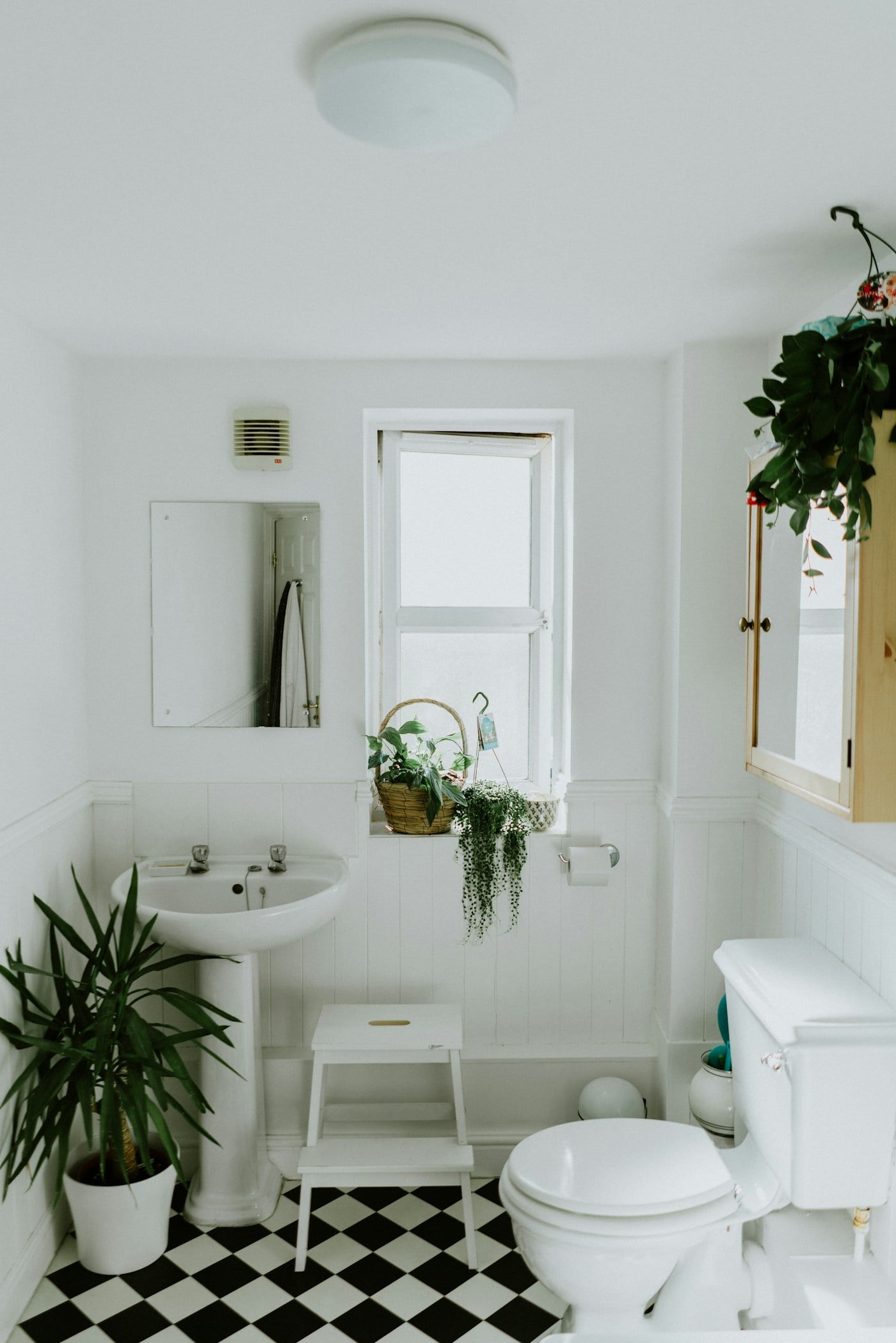 Bright contemporary bathroom with a glass shower area