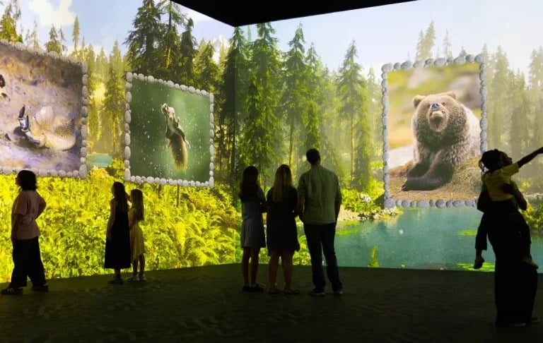 Forest scene from the Frameless Comedy Wildlife Awards immersive experience