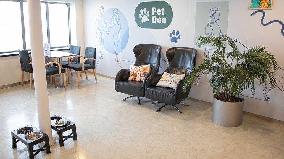 Pet den aboard James Joyce
