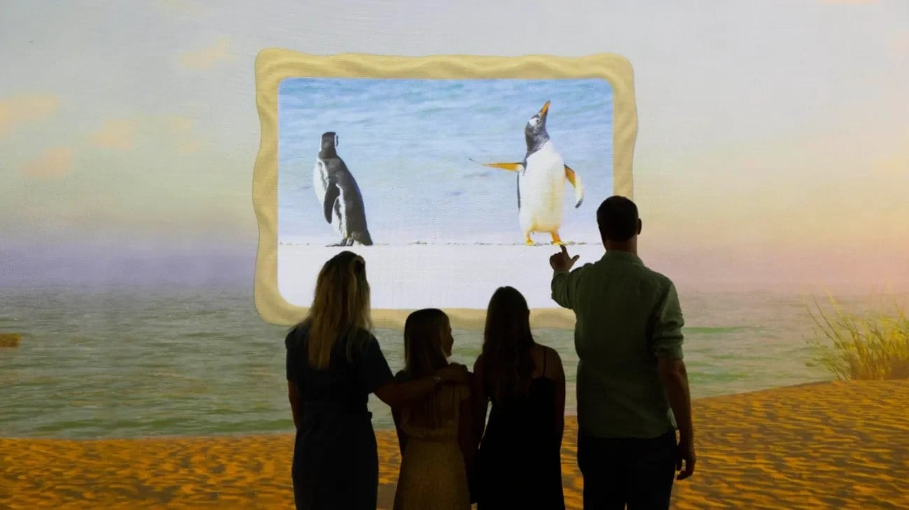 Immersive beach scene from the Comedy Wildlife Awards at Frameless