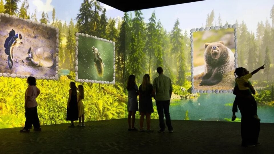 Immersive forest scene from the Comedy Wildlife Awards at Frameless