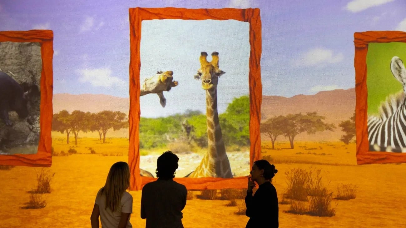 Immersive grassland scene from the Comedy Wildlife Awards at Frameless