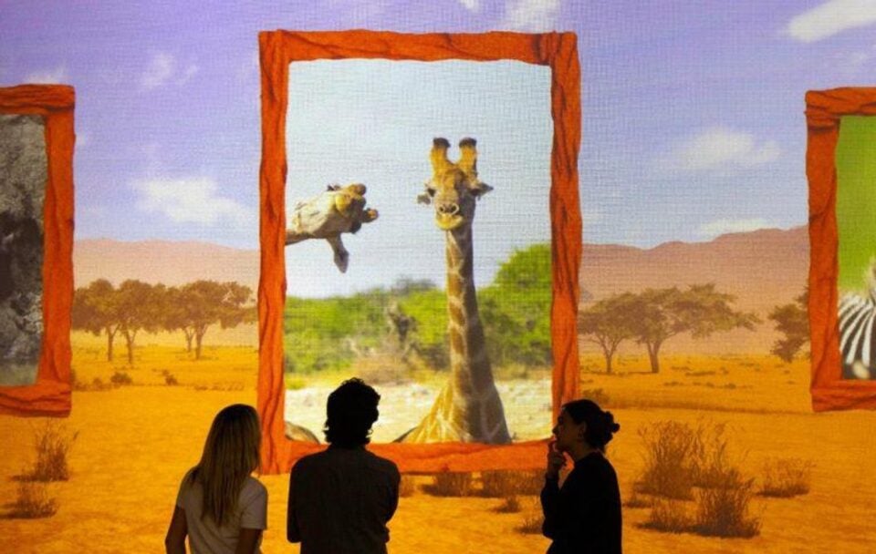 Frameless Comedy Wildlife Awards immersive experience banner