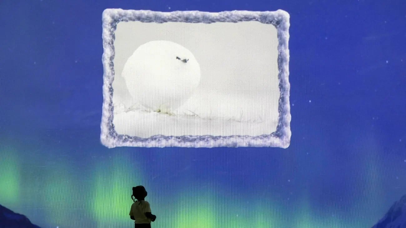 Immersive snow and ice scene from the Comedy Wildlife Awards at Frameless