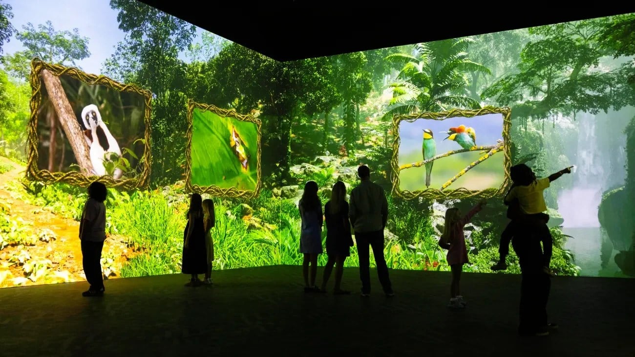 Immersive jungle scene from the Comedy Wildlife Awards at Frameless