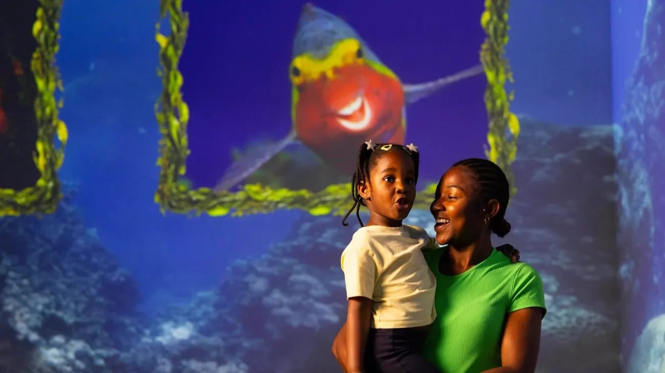 Immersive ocean scene from the Comedy Wildlife Awards at Frameless