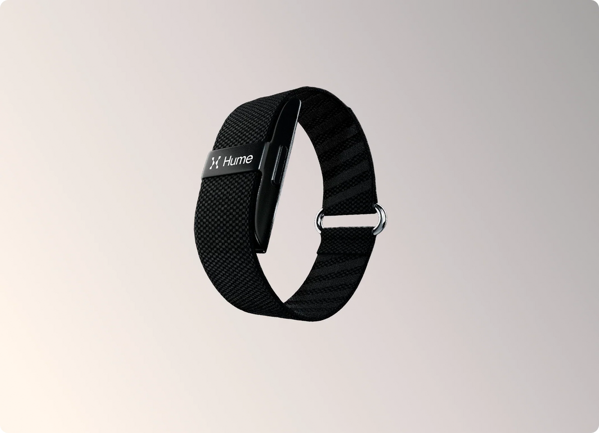 Detailansicht des Hume Band 2.0