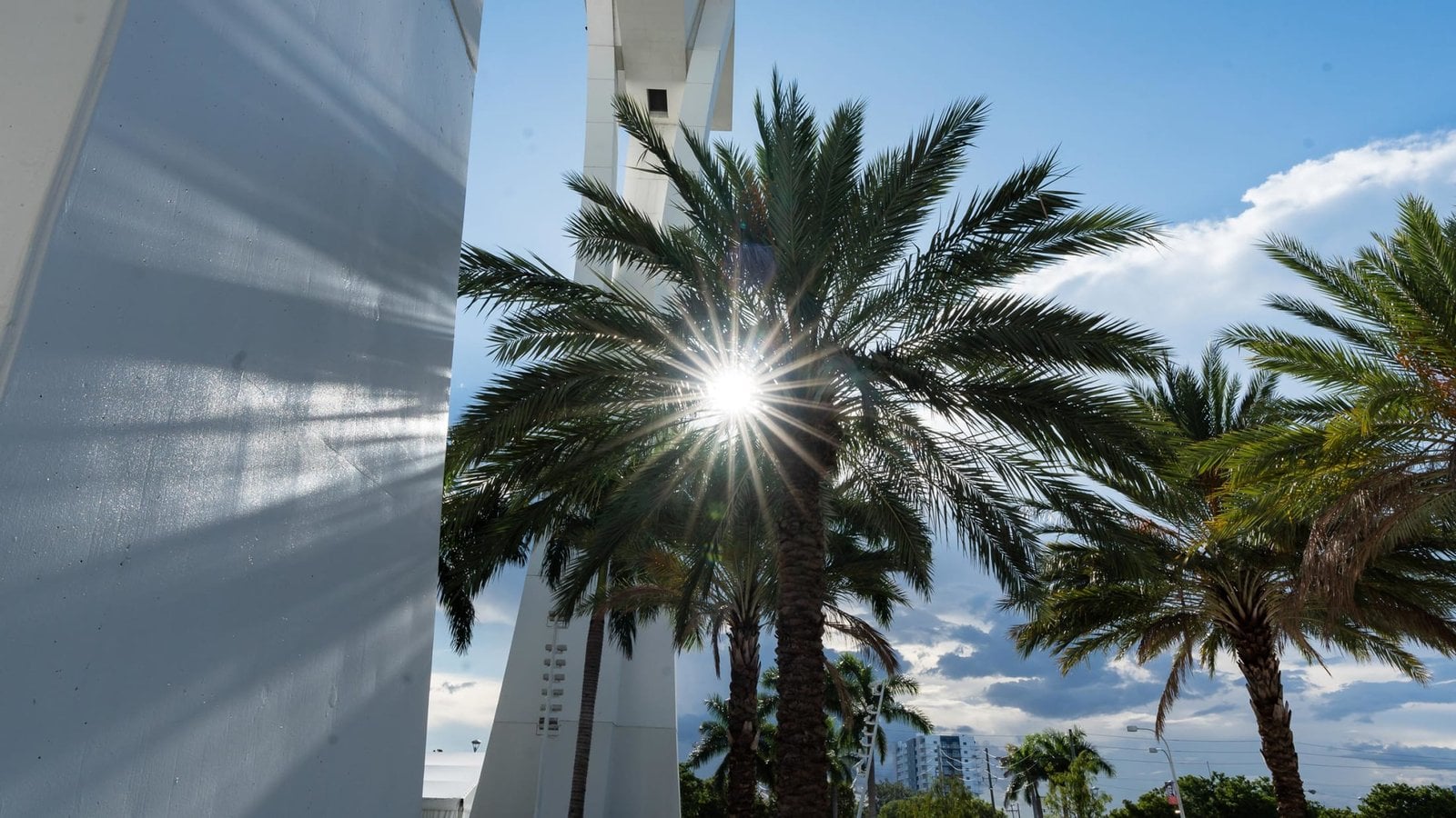 Miami Marlins membership ticket plan