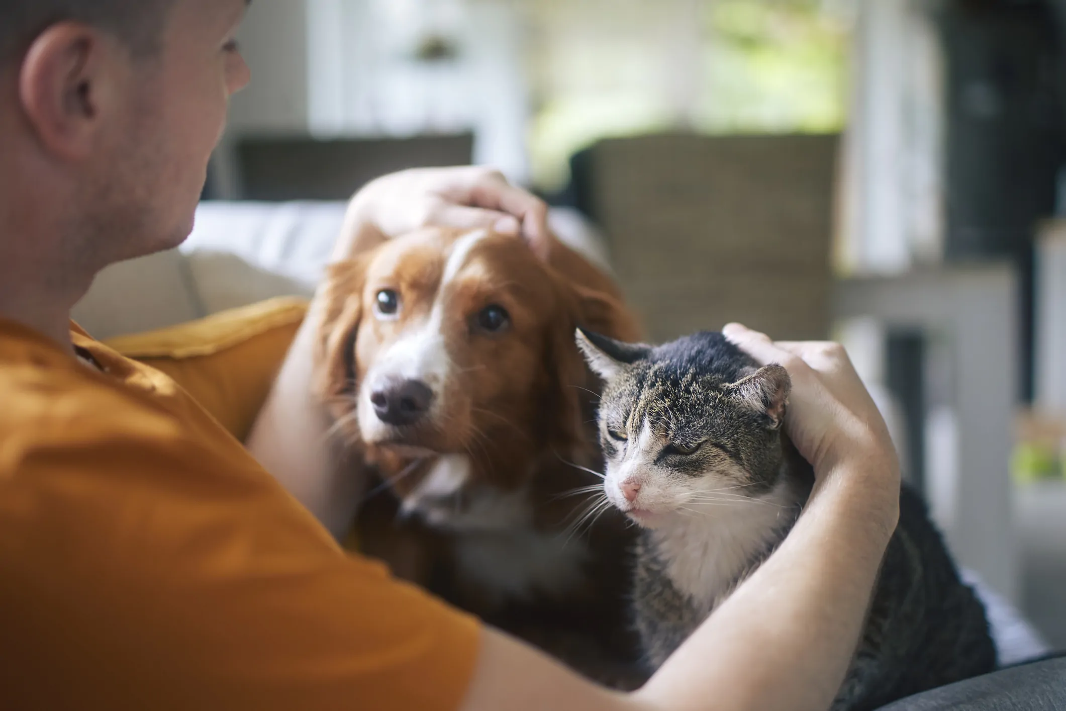 Pet owner with a cat and dog for multi-pet cover context