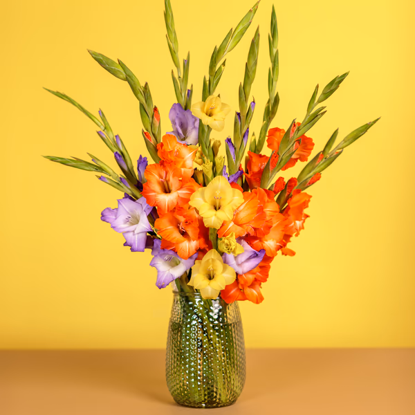 Painted Skies bouquet of tall colourful British-grown gladioli