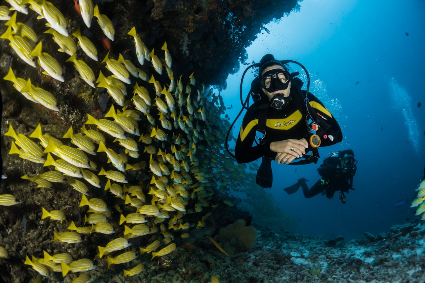 Scuba divers swimming above tropical fish