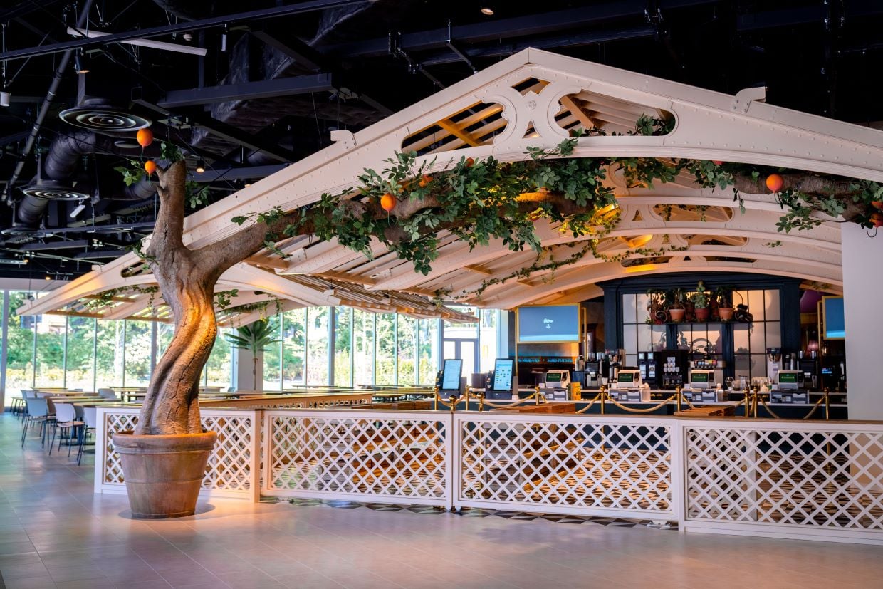 Food and drinks served at the Studio Tour cafe