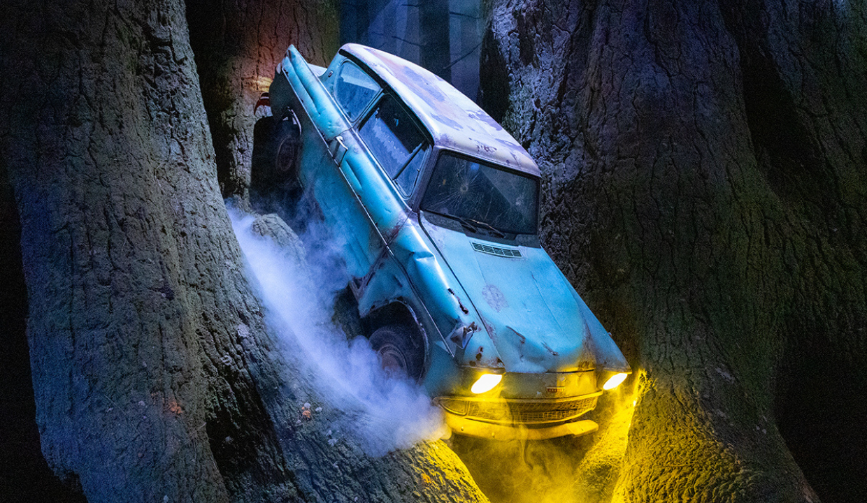 The Forbidden Forest set with towering trees