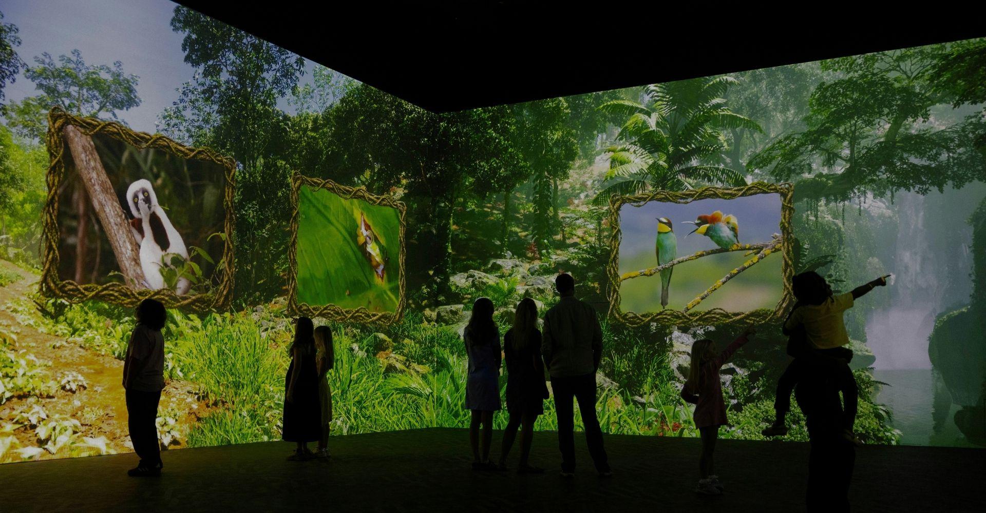 Families standing inside the Comedy Wildlife Awards experience at Frameless