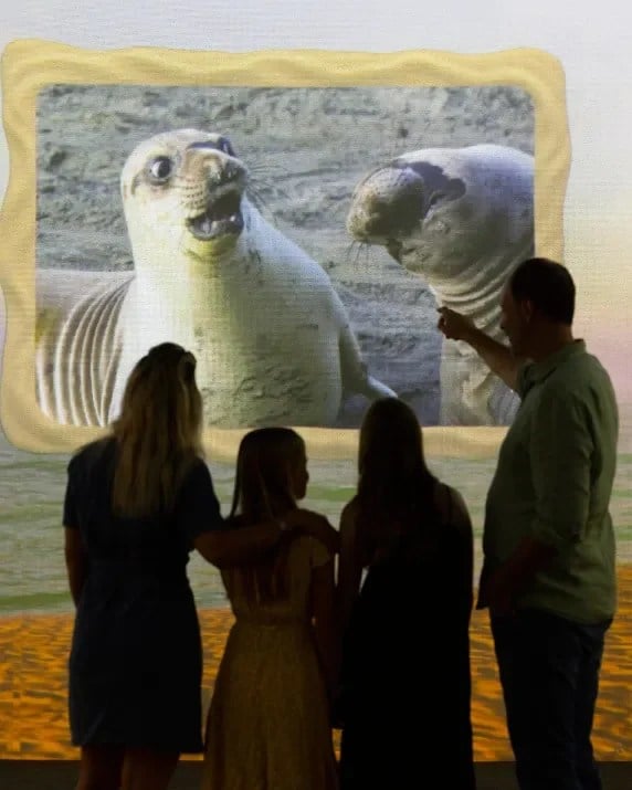 Family viewing a seal projection at Frameless