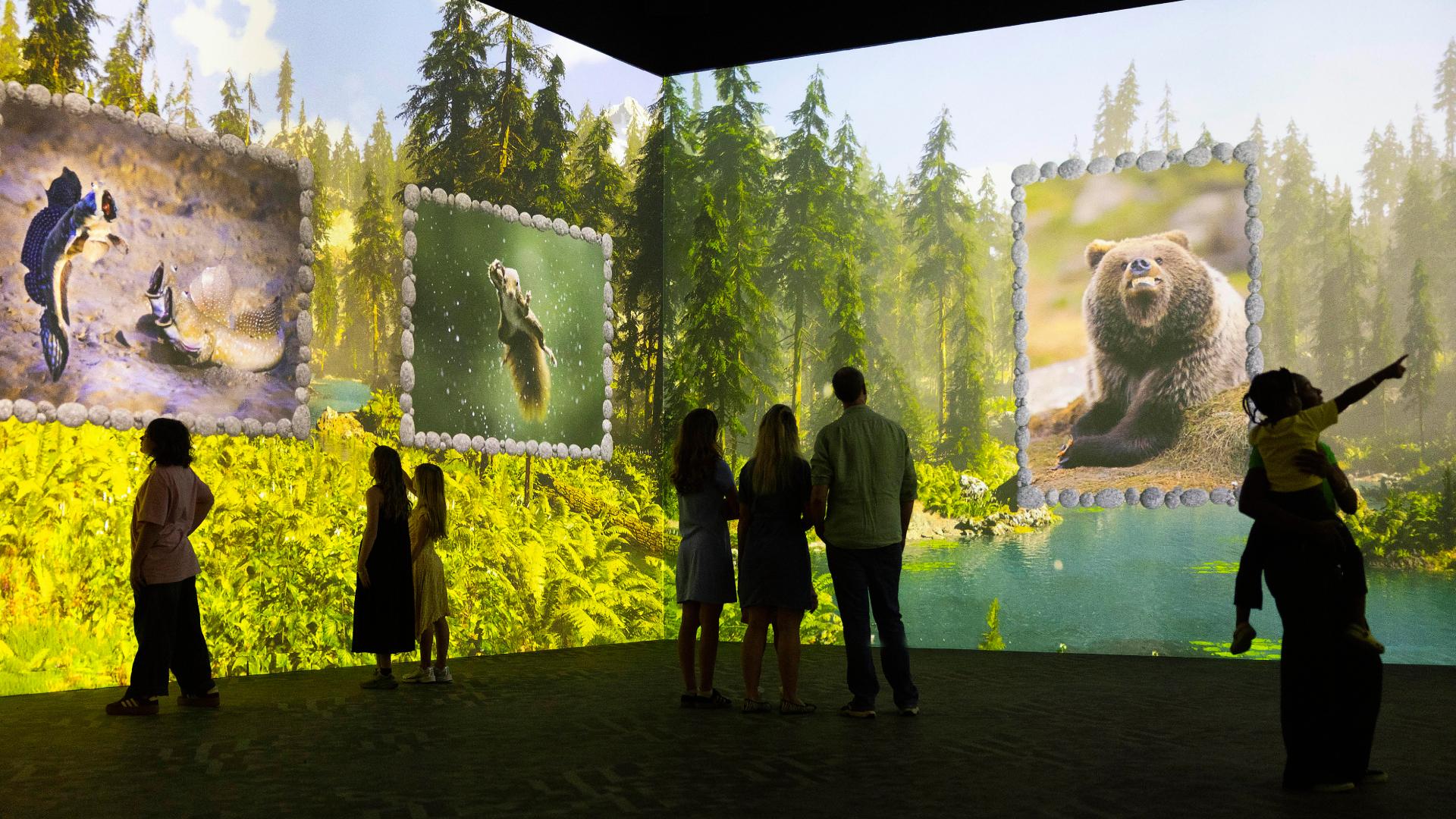 Current Frameless gallery installation banner