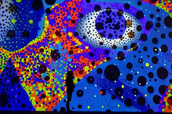 In Bloom by David Parry displayed at Frameless