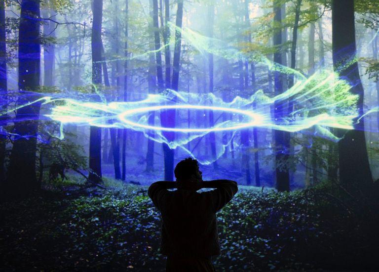 A visitor watches forest-like light projections at Frameless