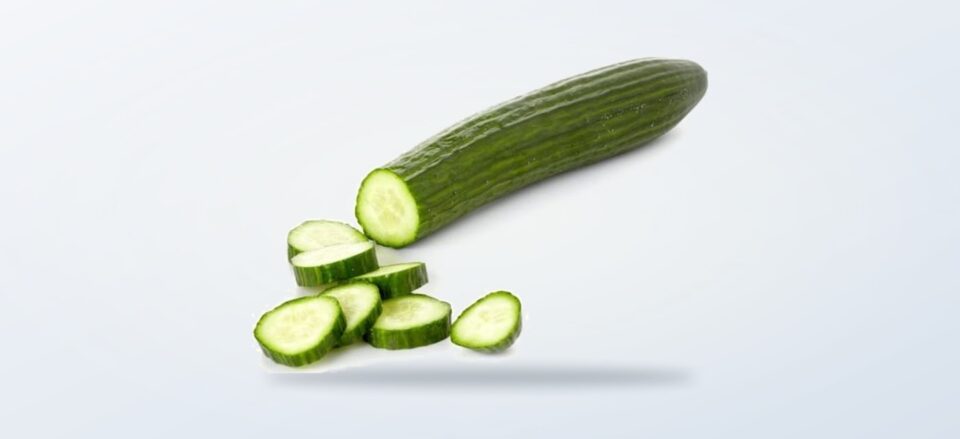Fresh cucumber product photograph