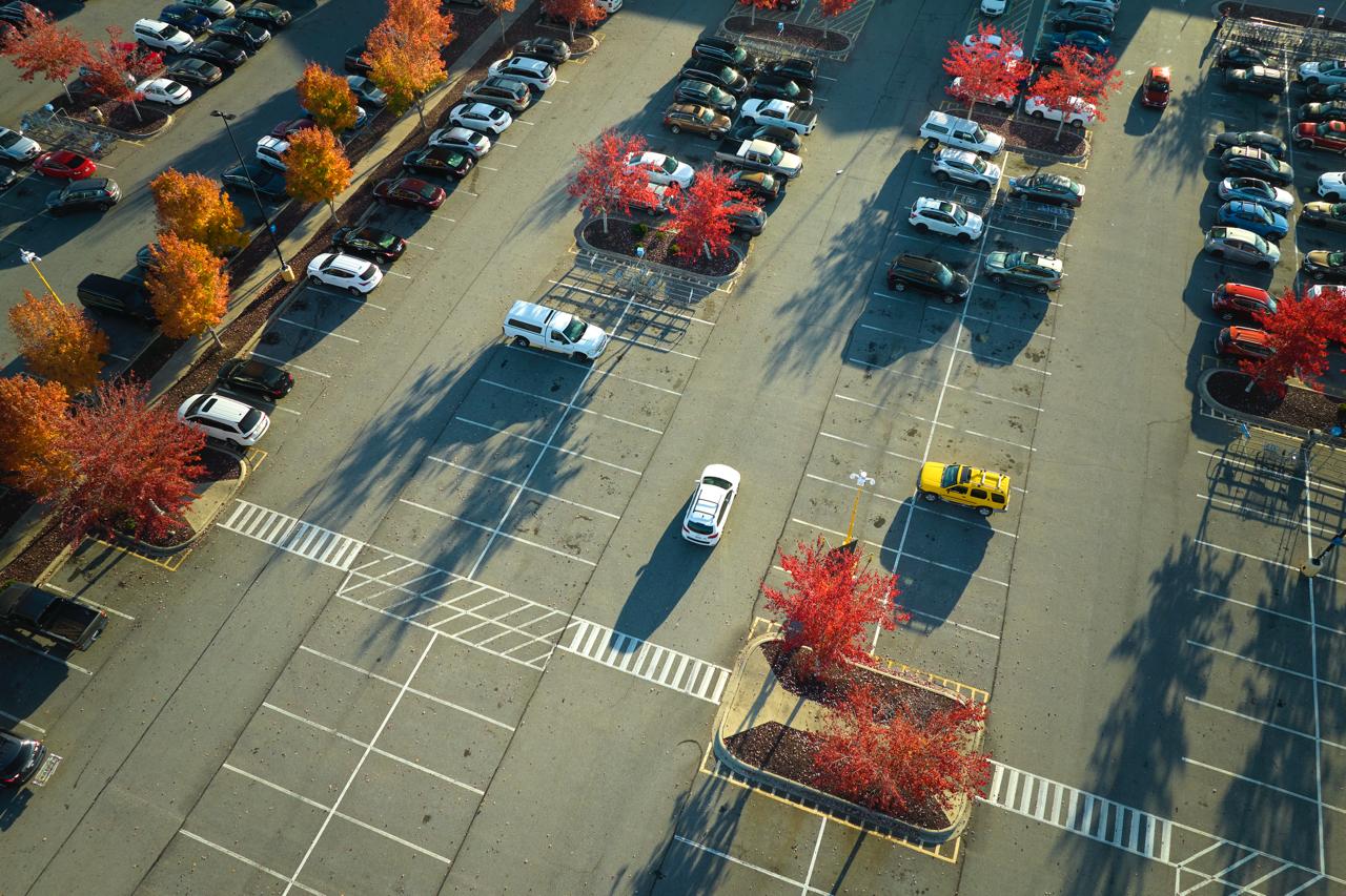 Rows of parked cars and autumn trees in an airport car park
